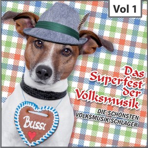 Das Superfest der Volksmusik, Vol. 1