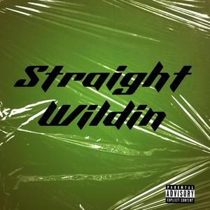 Straight Wildin (Explicit)