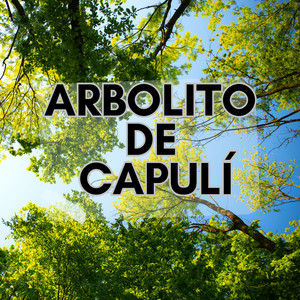 Arbolito de Capulí