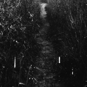 On Opposite Sides of Sleep