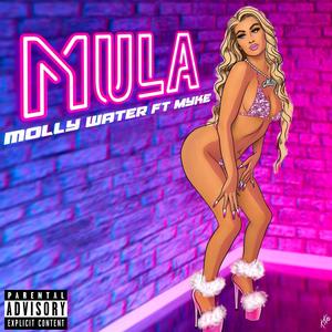 Mula (feat. Myke Milyan) [Explicit]