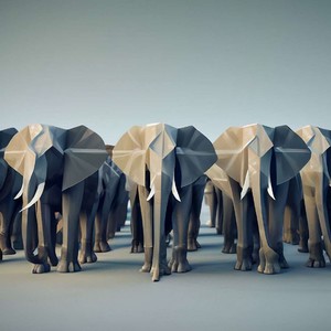 Elefant Generation