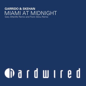 Miami At Midnight (Florin Silviu Remix)