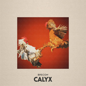 Calyx