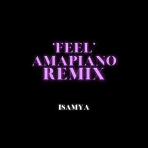 Feel (amapiano mix)