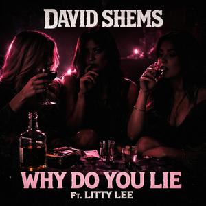 Why Do You Lie (feat. Litty Lee)