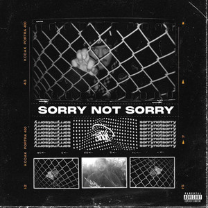 Sorry Not Sorry (Explicit)