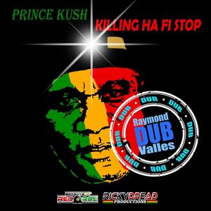 Killing Hafi Stop (feat. Raymond Valles) (Remix)