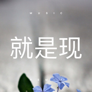 最炫小苹果 (Remix)