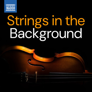 Violin Concerto in D Major, S. 165 - Violin Concerto in D Major, S. 165: II. Andante