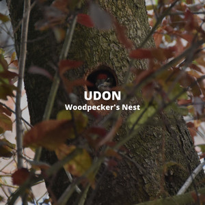 Woodpecker's Nest