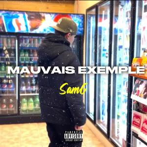 Mauvais Exemple (feat. SamG) [Explicit]