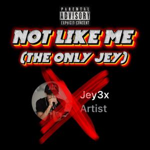 NOT LIKE ME (THE ONLY JEY) [Explicit]