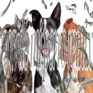 CACA DE MI PERRO (REMIX|Explicit)