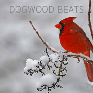 Que Flux - King of Kings