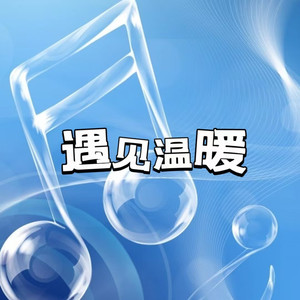 爱若无声 (DJ长音频)封面