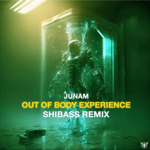 Out of Body Experience (Shibass Remix)