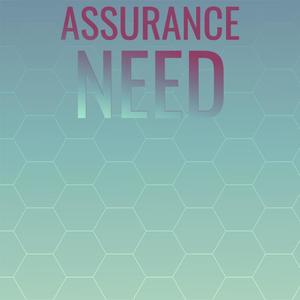 Assurance Need