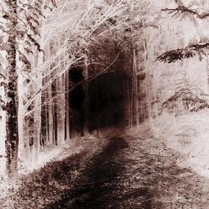 only one way (feat. Alexander Flexman)