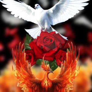 From A Phoenix Rose A Dove (Explicit)