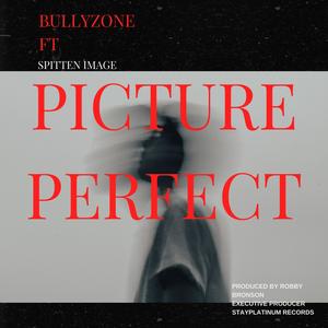 Picture Perfect (feat. Spitten Image) [Explicit]