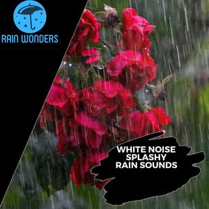 White Noise Splashy Rain Sounds