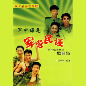 别用泪水为我擦枪