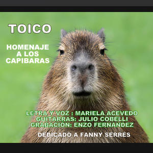 TOICO (feat. JULIO COBELLI)