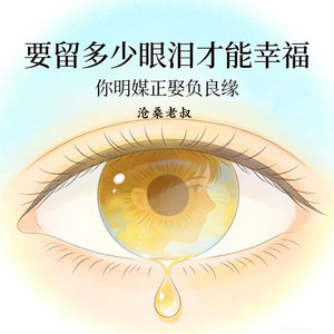 要留多少眼泪才能幸福 (你明媒正娶负良缘)