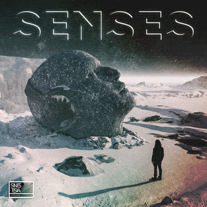 Senses