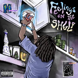 Feelings On The Shelf (Explicit)