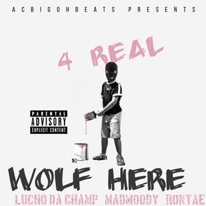 4Real (Explicit)