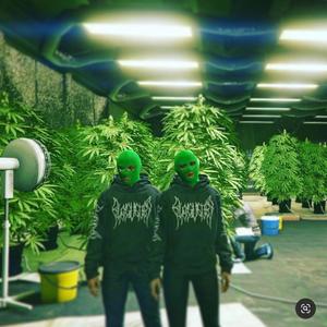 Grow House Volume 1 (Explicit)