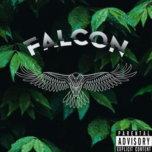 Falcon (Explicit)