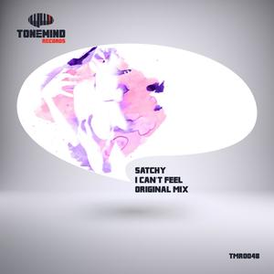 I Can`t Feel (Original Mix)