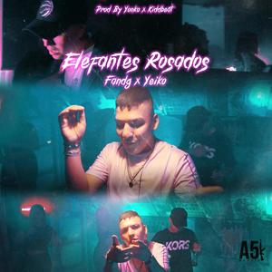 Elefantes Rosados(feat. Yeiko A51)