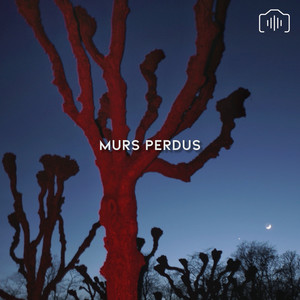 Murs Perdus