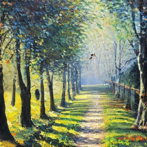 阳光透过枝叶洒向大地