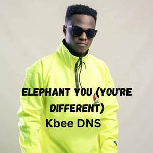 Elephant You (You're Different) (Explicit)