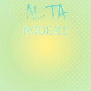 Alta Rodent