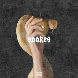 Snakes (Explicit)