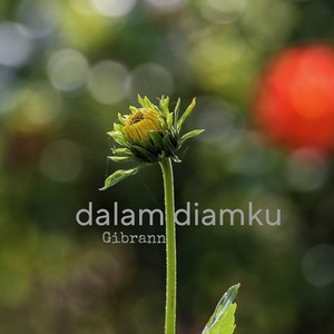 Dalam diamku