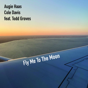 Fly Me To The Moon