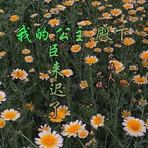 前程似锦太虚伪了