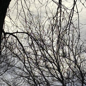 Monsters (feat. Mari)