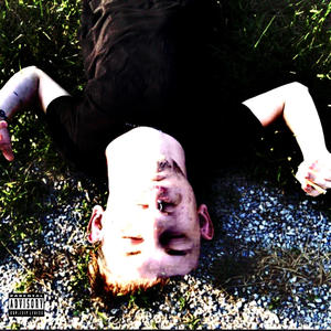 Mental Meadows (Explicit)