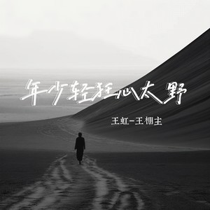 王虹 - 年少轻狂心太野[MP3_LRC]_MP3下载