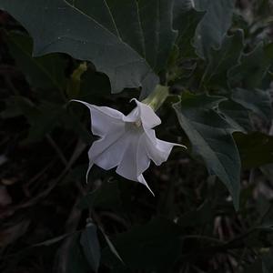 useless (feat. stay!) (Explicit)