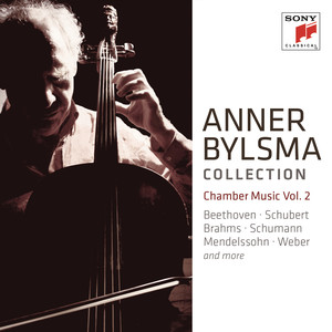 III. Scherzo, Allegro - Trio