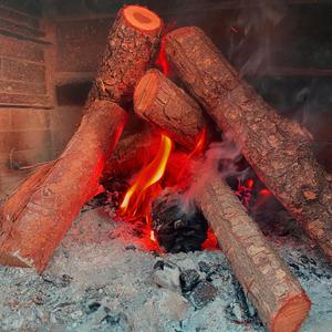 Cacho de Mierda (Explicit)